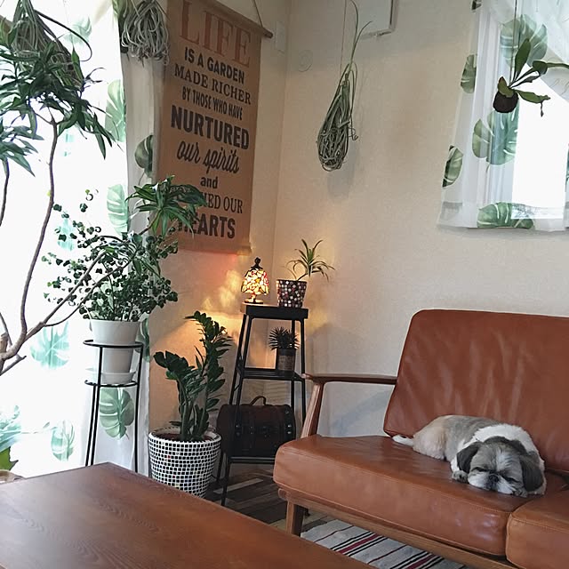 ANNAさんの実例写真
