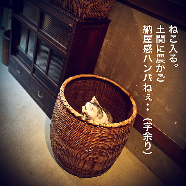 marusanさんの実例写真