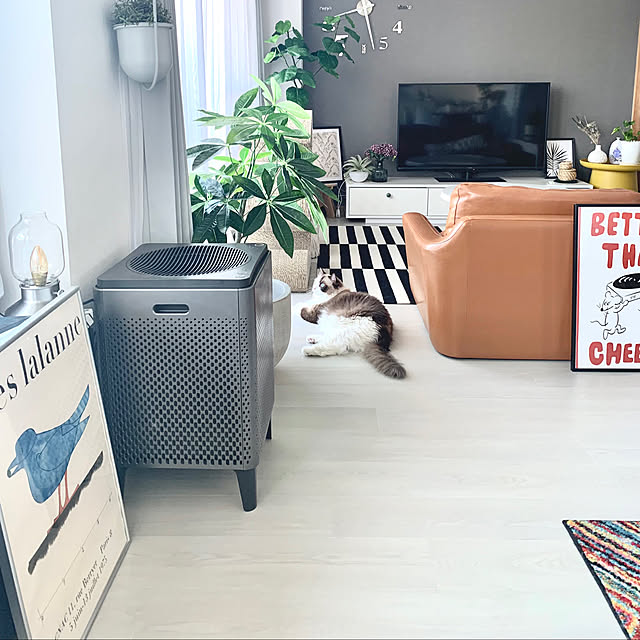 Micccaさんの部屋