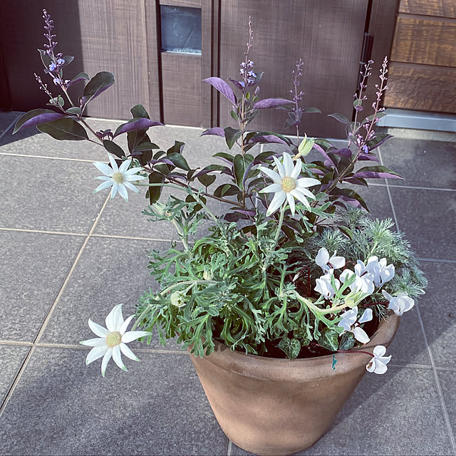 moainanoさんの実例写真
