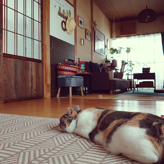 fukuさんの実例写真