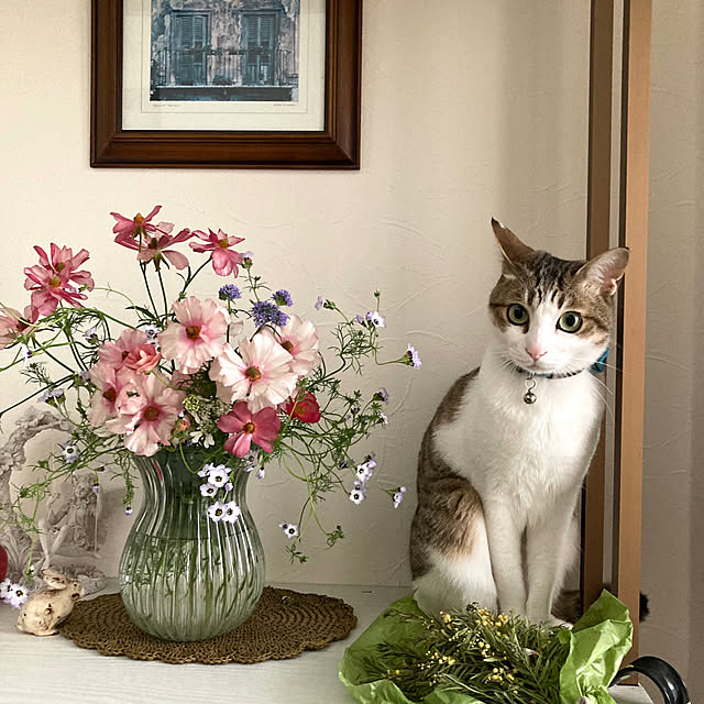 chieさんの実例写真