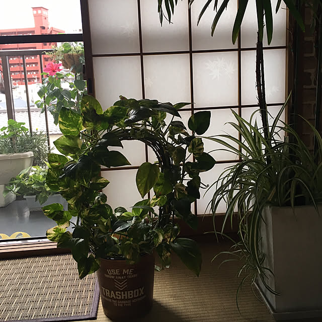 nanaさんの実例写真