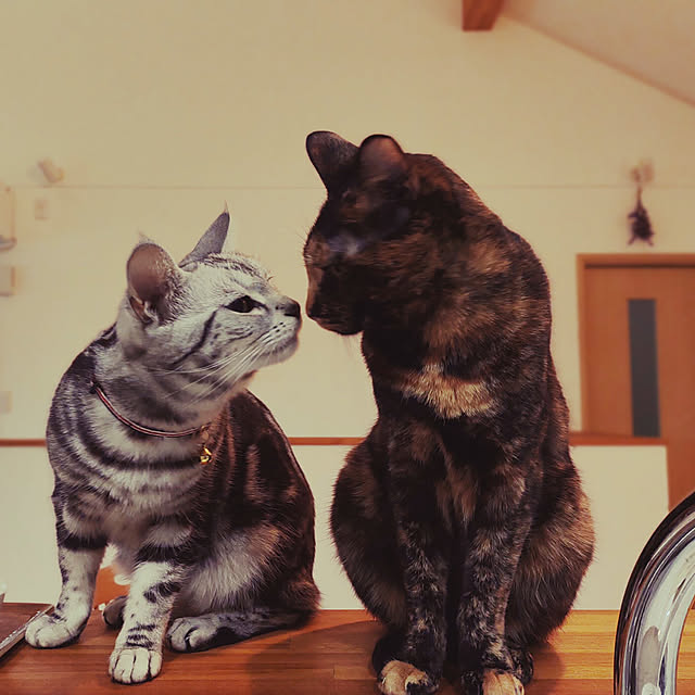 wahahaさんの実例写真