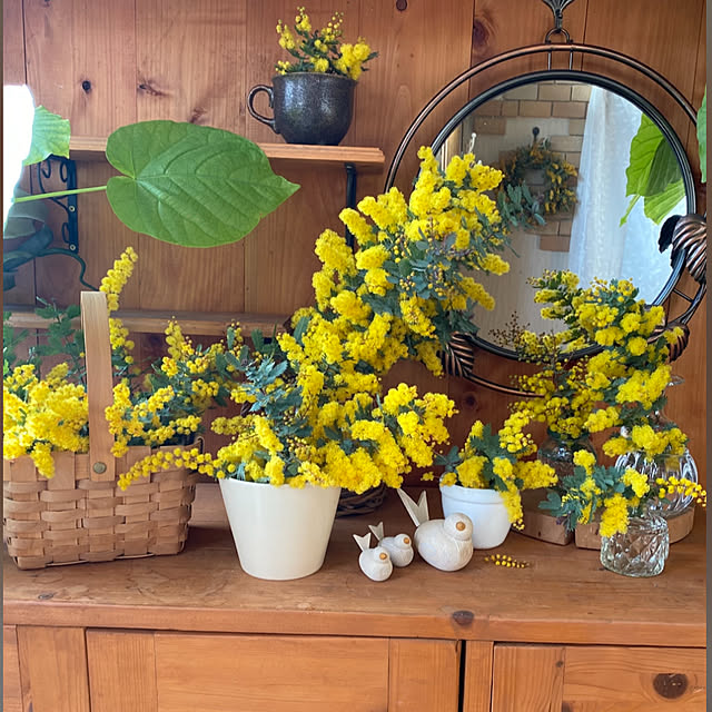 mintteaさんの実例写真