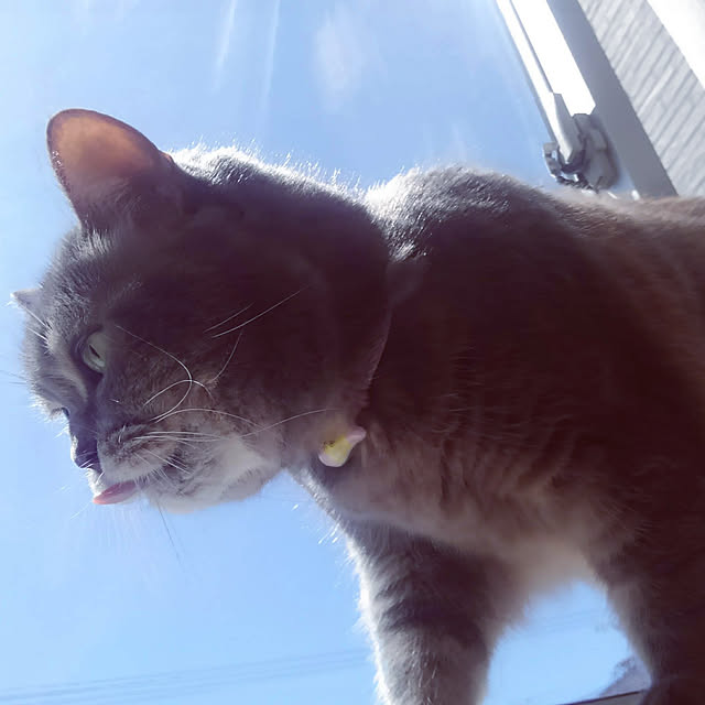 kae_himawariさんの実例写真