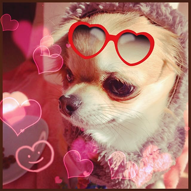 yukaさんの実例写真