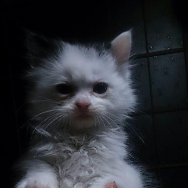 yukaさんの実例写真