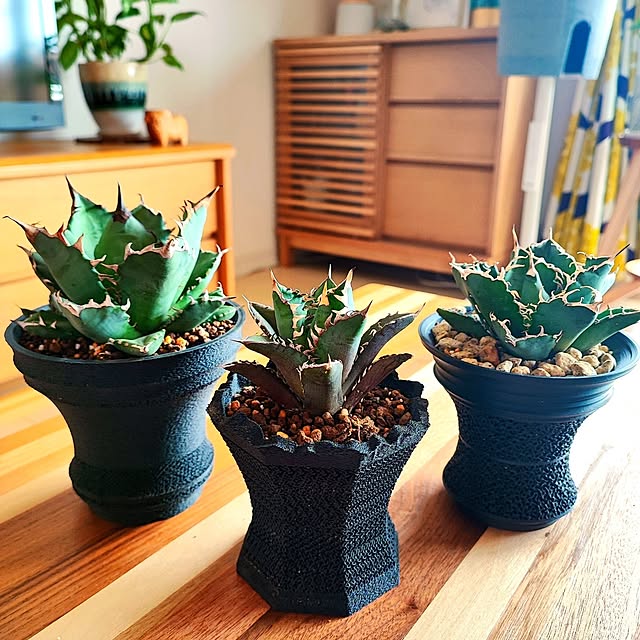 eさんの部屋