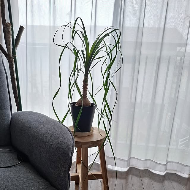 midoriさんの部屋