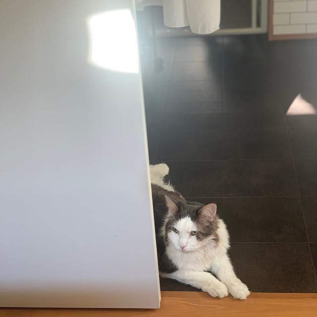 masakoさんの実例写真