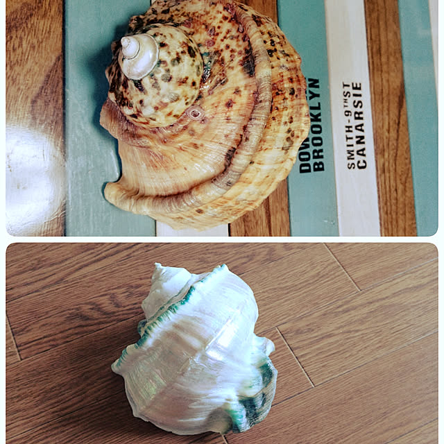 wakaさんの実例写真
