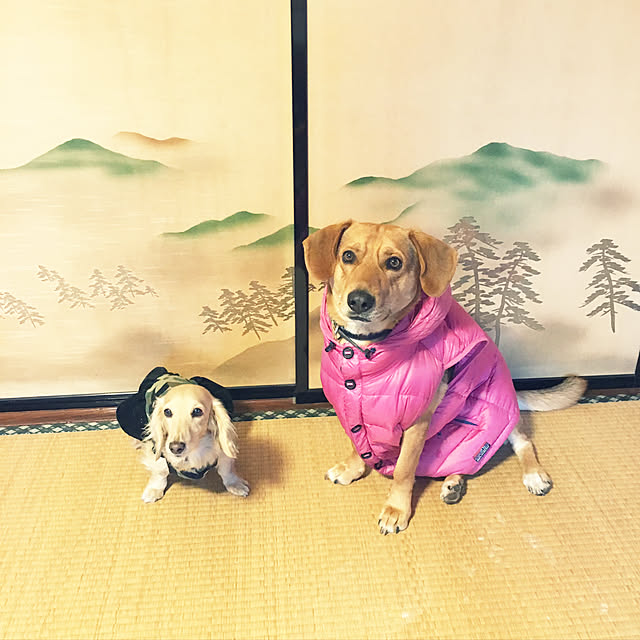 nicoichiさんの実例写真