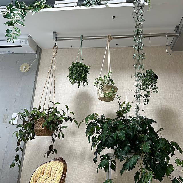 706m.roomさんの実例写真