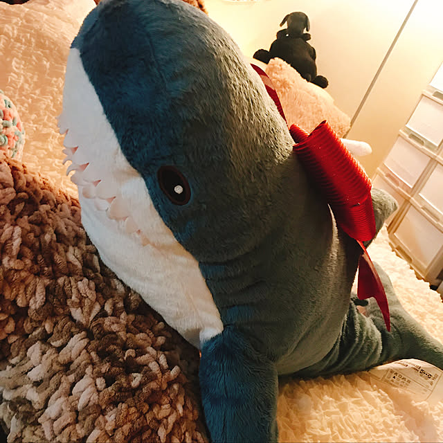 HanAさんの実例写真