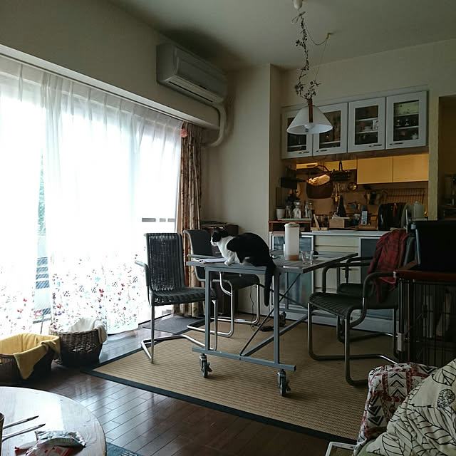 okyosan101さんの実例写真