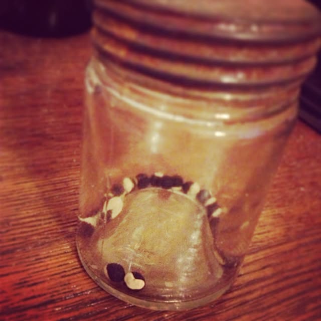 Akikoさんの実例写真