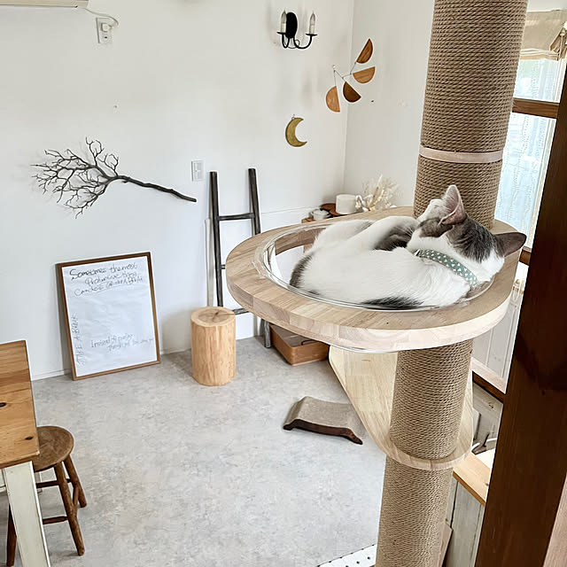 comiriさんの部屋