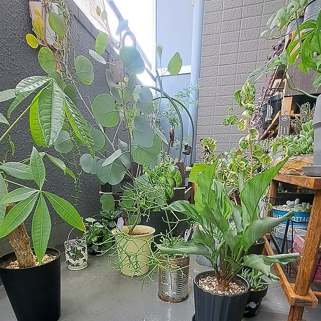 noaさんの部屋