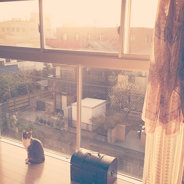 CHIHARUさんの実例写真