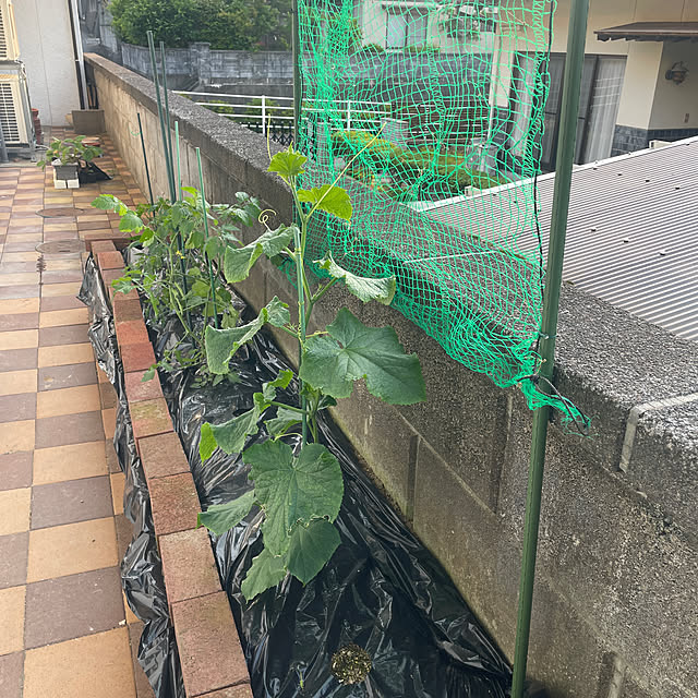 yuu.oさんの実例写真