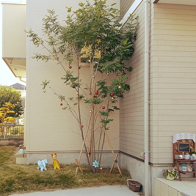 Nanaさんの実例写真