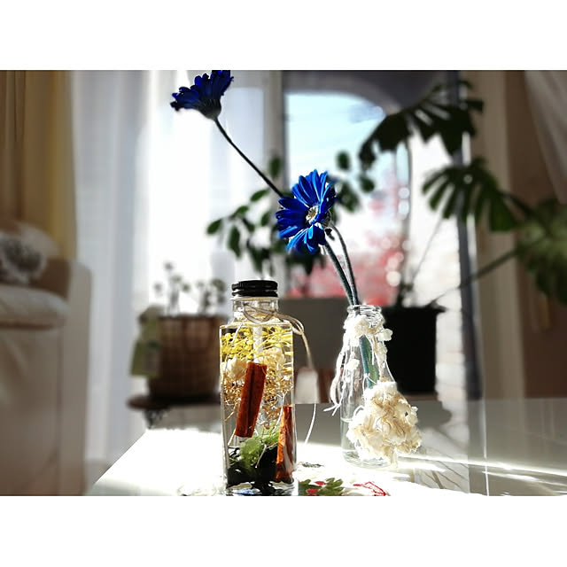 hm99さんの部屋
