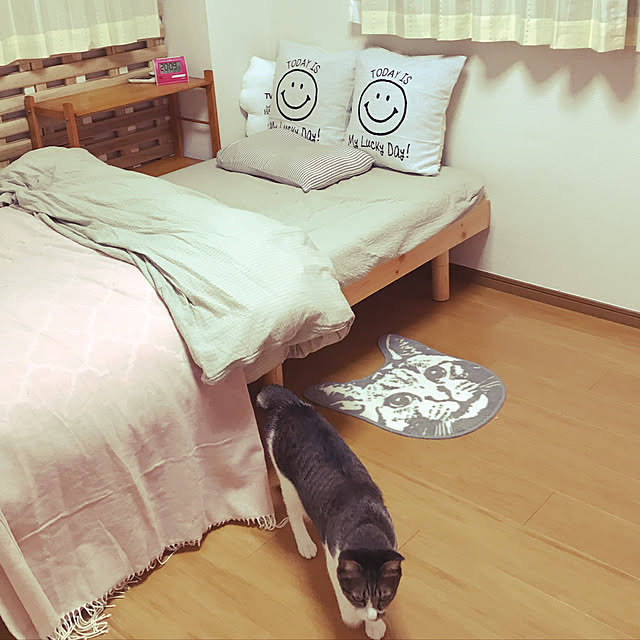 TAMAさんの実例写真