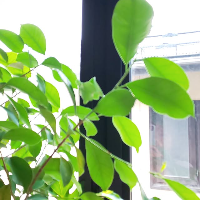 yumiyumiさんの部屋
