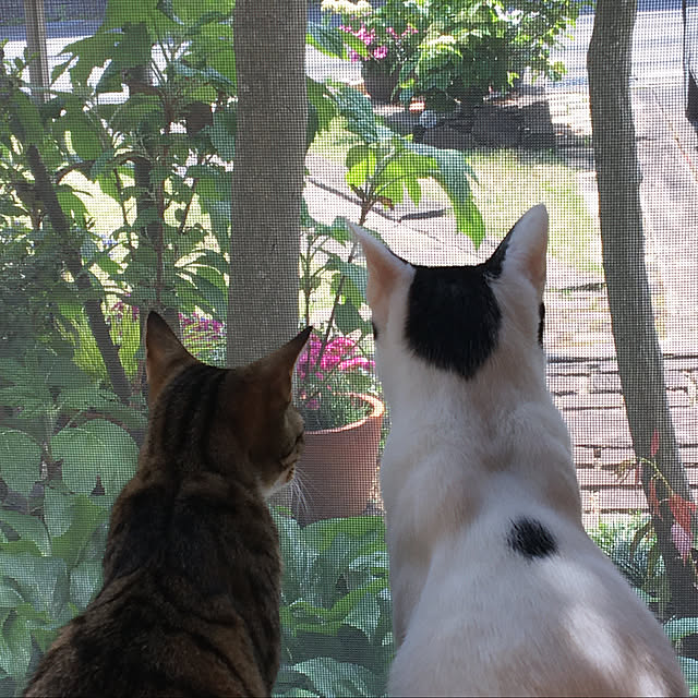 nobikoさんの実例写真