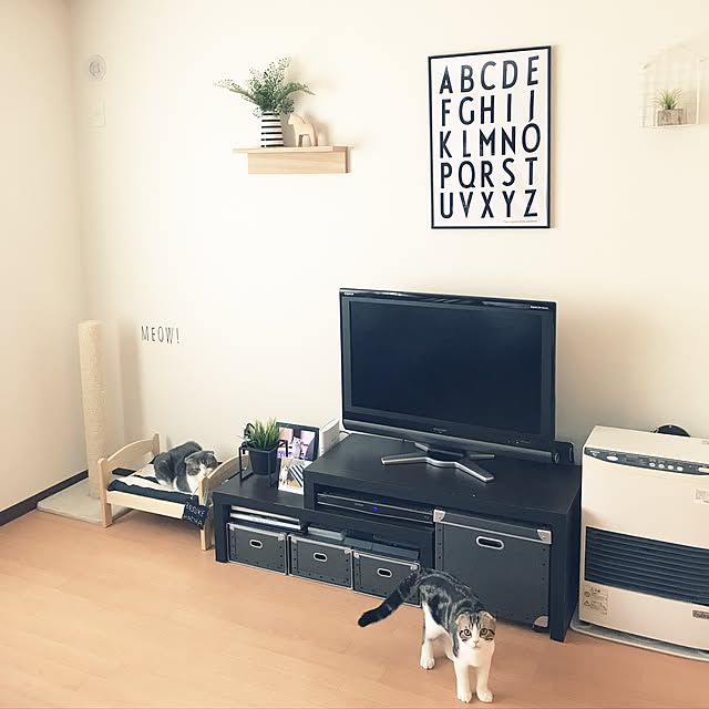 tansukeさんの実例写真