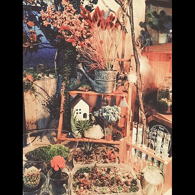 Mystさんの実例写真