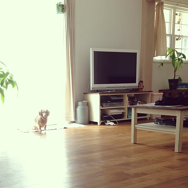 R.yukaさんの実例写真