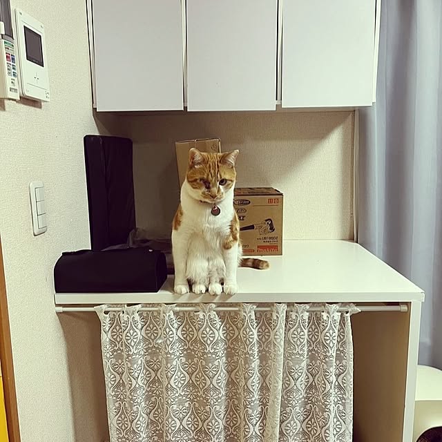 noguriさんの部屋