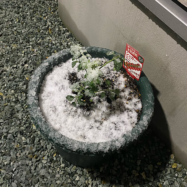 mhomemさんの実例写真