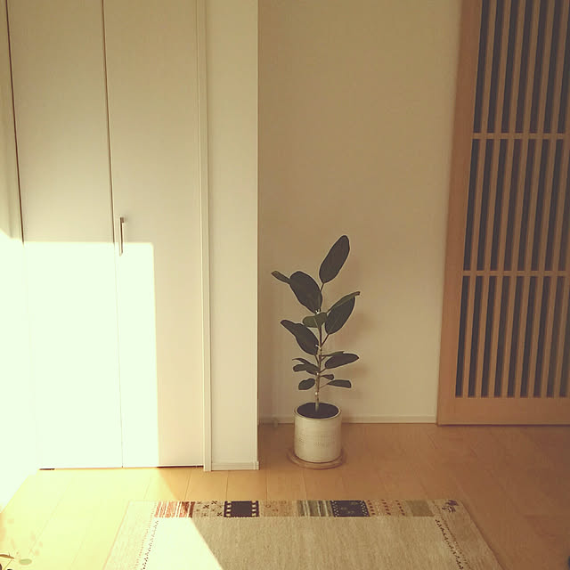 marutinoさんの実例写真