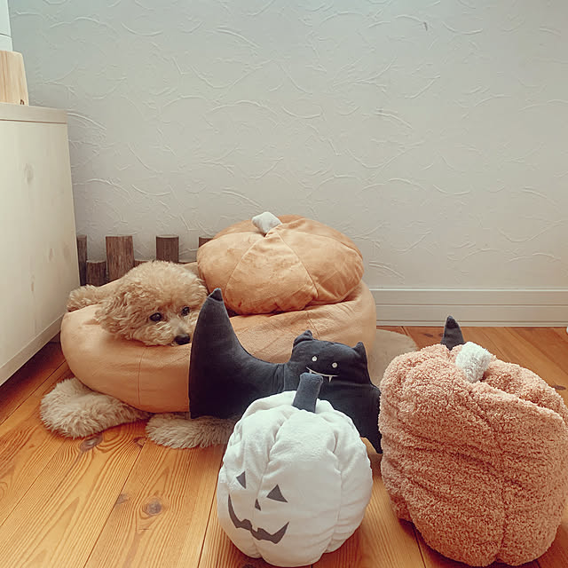 chii_saさんの実例写真