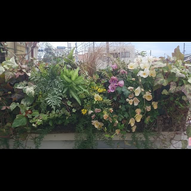 GreenWorksさんの実例写真