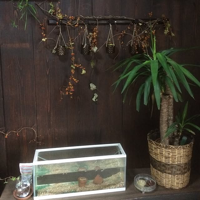 hama2292さんの実例写真