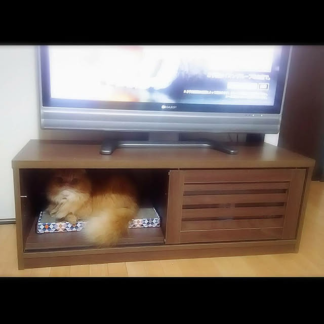 minaさんの実例写真