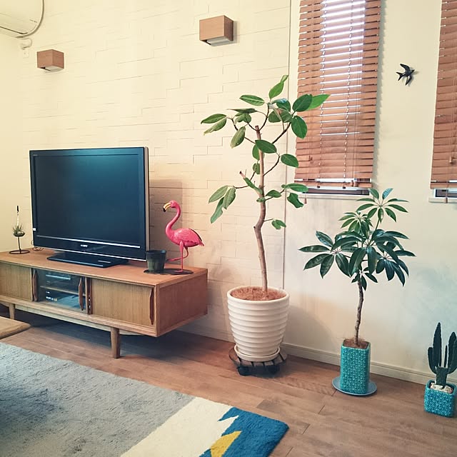 cherryさんの実例写真