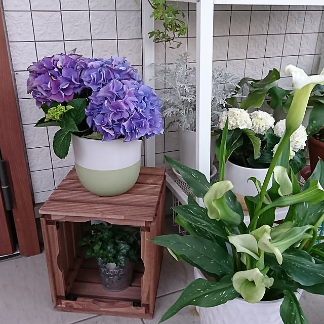 16Novemberさんの実例写真