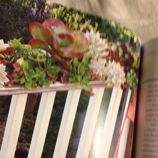 R_mamaさんの実例写真