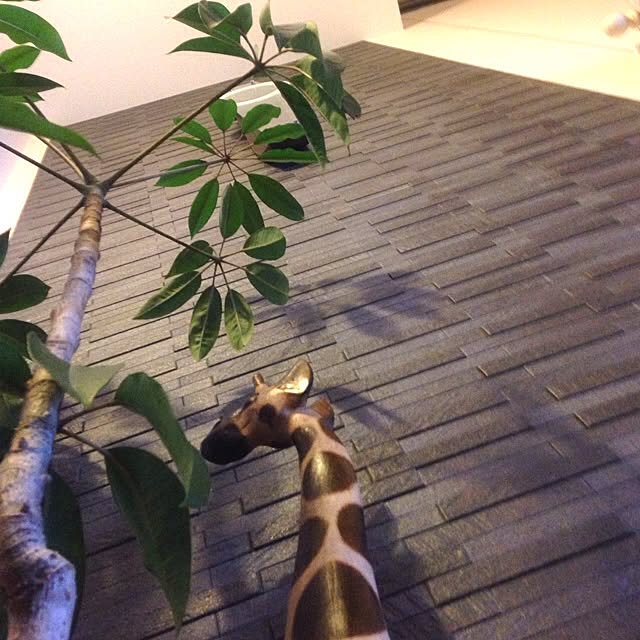 309さんの実例写真