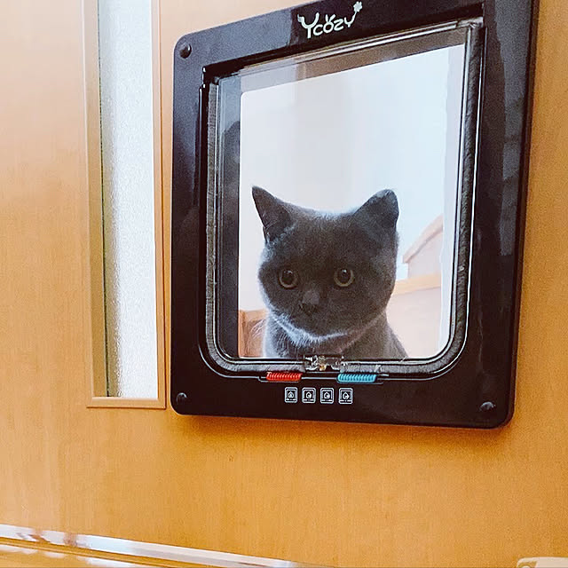 kaoさんの実例写真
