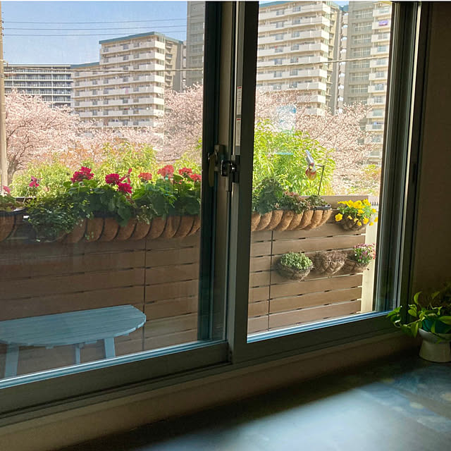 marukoさんの部屋