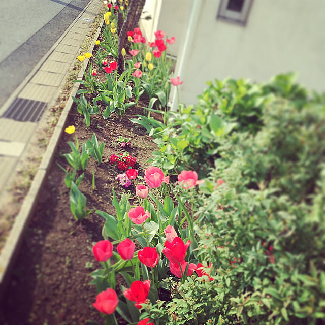 実例写真
