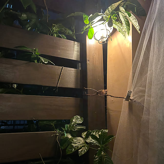 botanさんの部屋