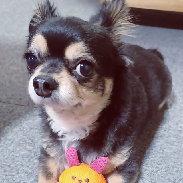 hiro.904さんの部屋