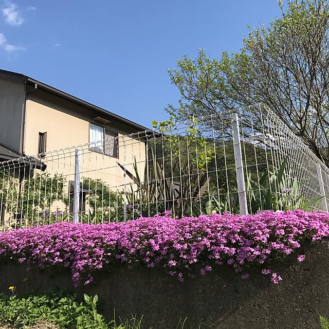 pepeさんの実例写真